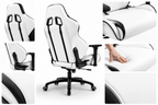 Ragnarok Chaise de bureau ergonomique Gaming